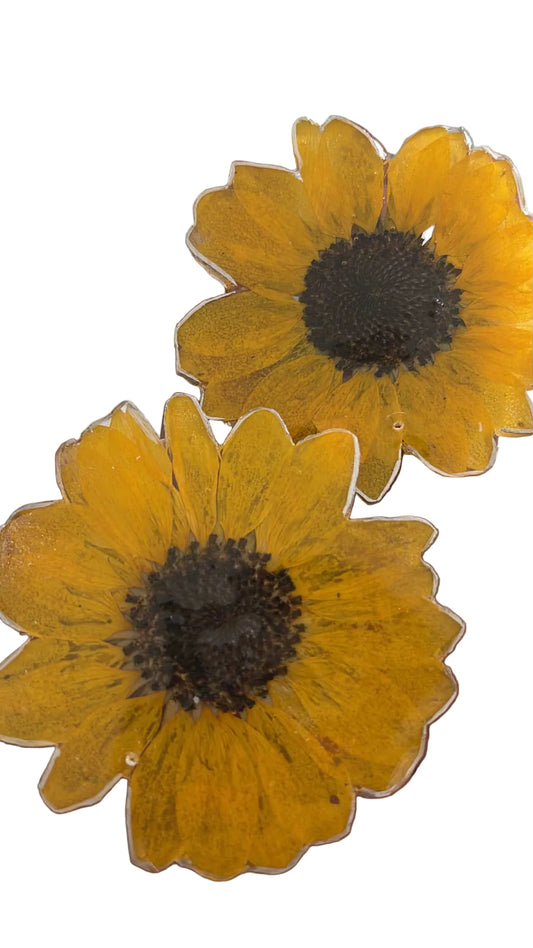 Orden Especial Shirley